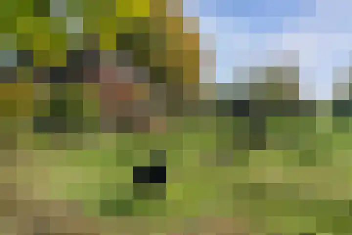 Kastanjelaan 28 Vinkel thumbnail 32