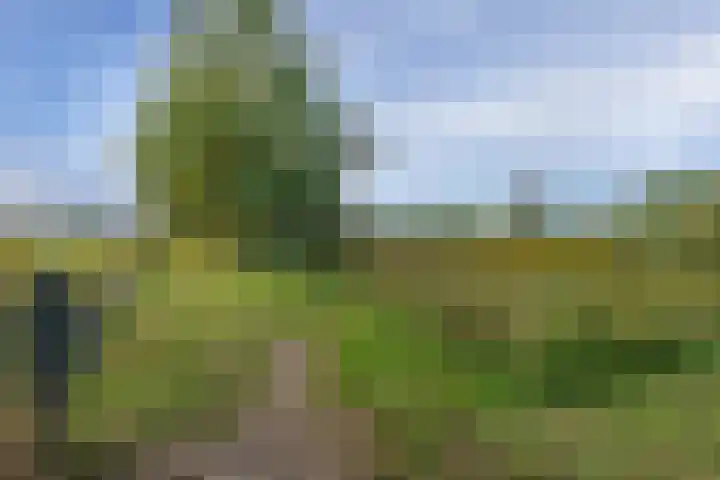Kastanjelaan 28 Vinkel thumbnail 33