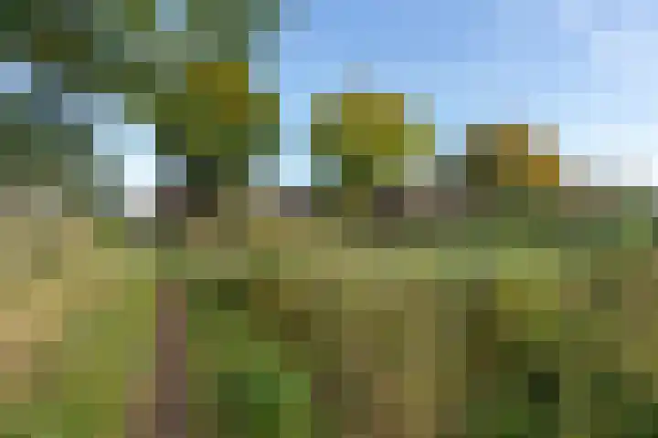 Kastanjelaan 28 Vinkel thumbnail 34