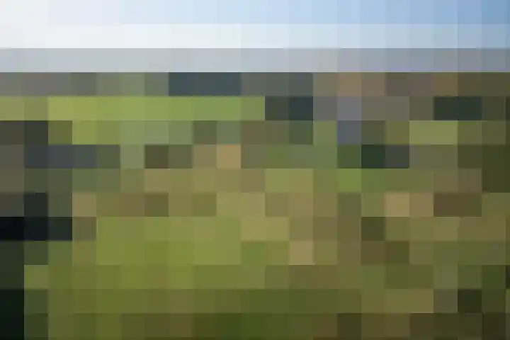 Kastanjelaan 28 Vinkel thumbnail 35