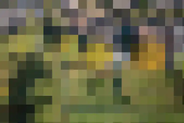 Kastanjelaan 28 Vinkel thumbnail 36