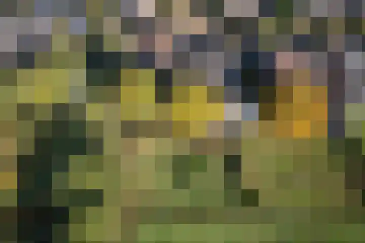 Kastanjelaan 28 Vinkel thumbnail 37
