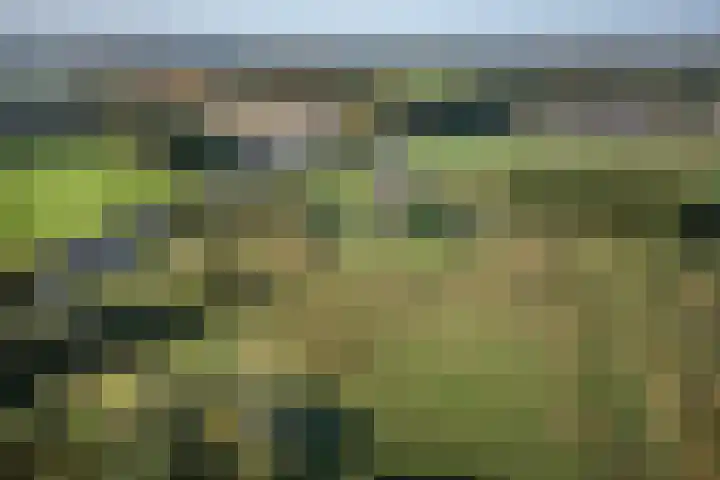 Kastanjelaan 28 Vinkel thumbnail 38