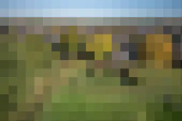 Kastanjelaan 28 Vinkel thumbnail 39