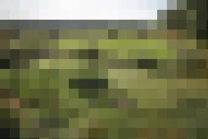 Kastanjelaan 28 Vinkel thumbnail 40