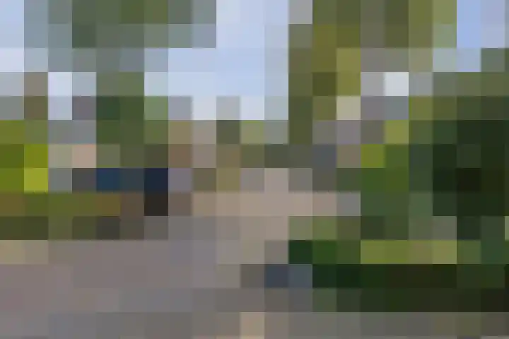 Kastanjelaan 28 Vinkel thumbnail 41
