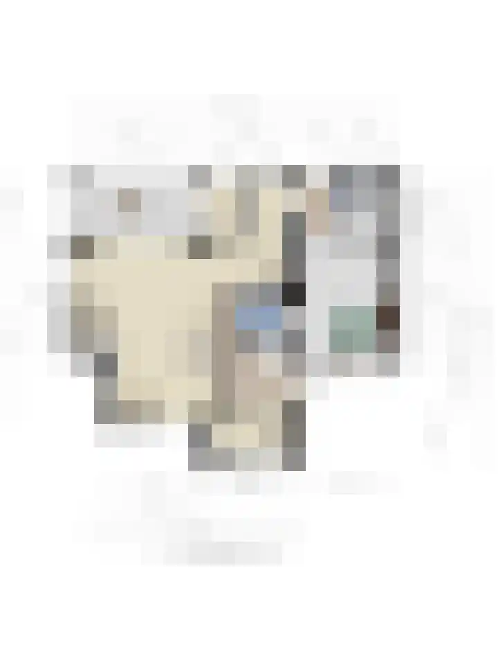 Kastanjelaan 28 Vinkel thumbnail 42