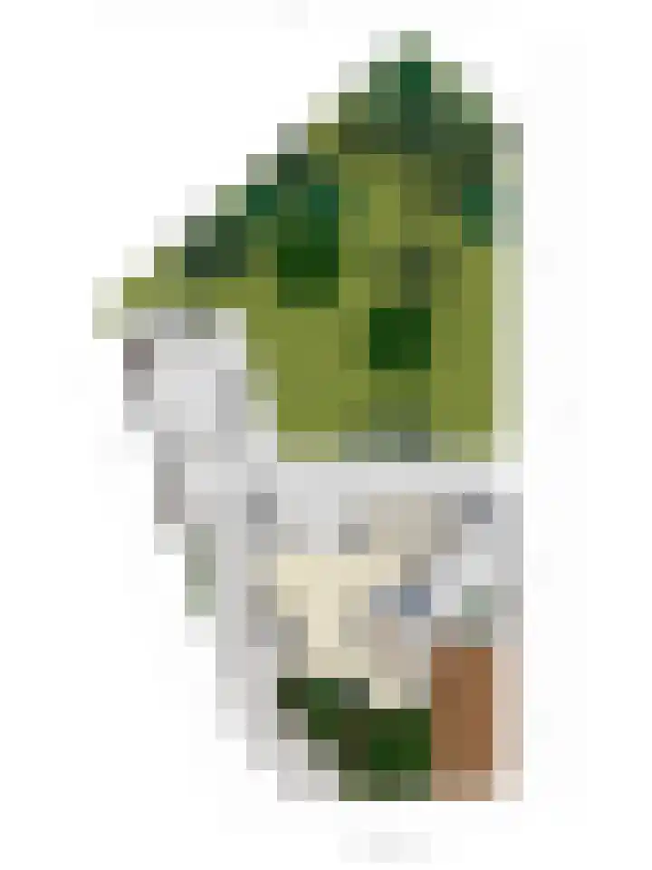 Kastanjelaan 28 Vinkel thumbnail 47