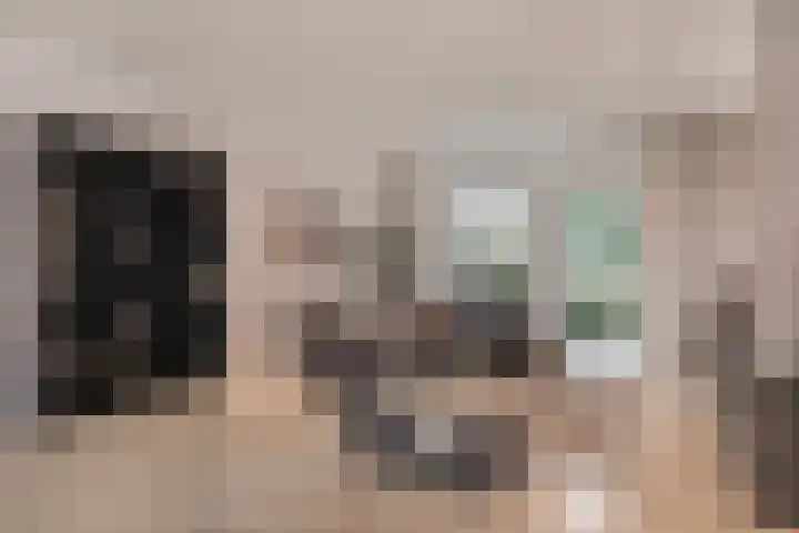 Kastanjelaan 28 Vinkel thumbnail 5