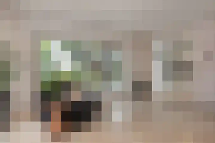 Kastanjelaan 28 Vinkel thumbnail 8