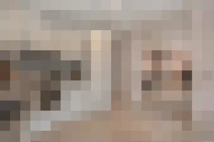 Kastanjelaan 28 Vinkel thumbnail 9
