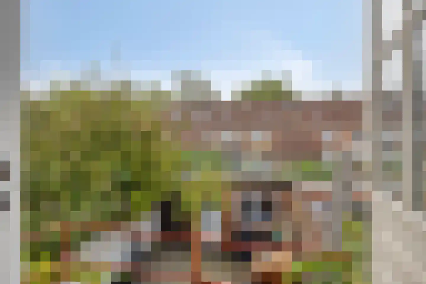 Kastanjelaan 286 Bergen op Zoom thumbnail 18