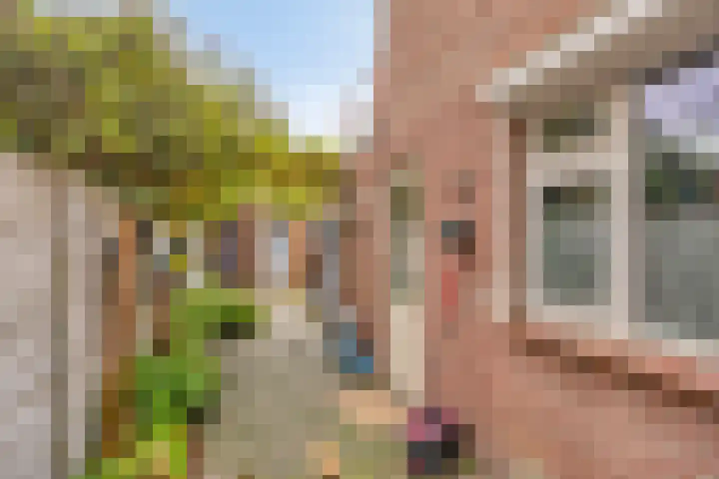 Kastanjelaan 286 Bergen op Zoom thumbnail 20