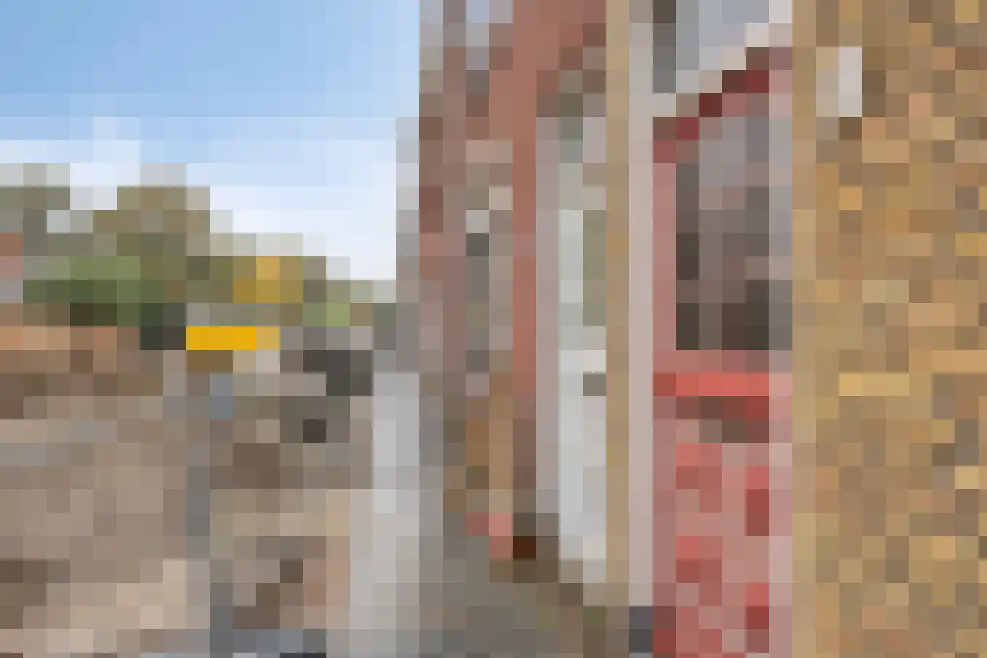 Kastanjelaan 286 Bergen op Zoom thumbnail 22