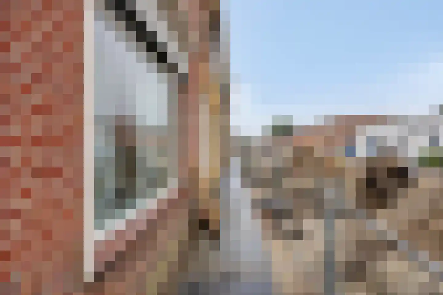 Kastanjelaan 286 Bergen op Zoom thumbnail 23