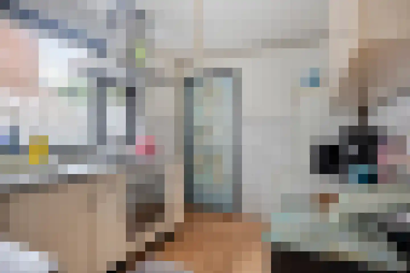 Kastanjelaan 286 Bergen op Zoom thumbnail 4