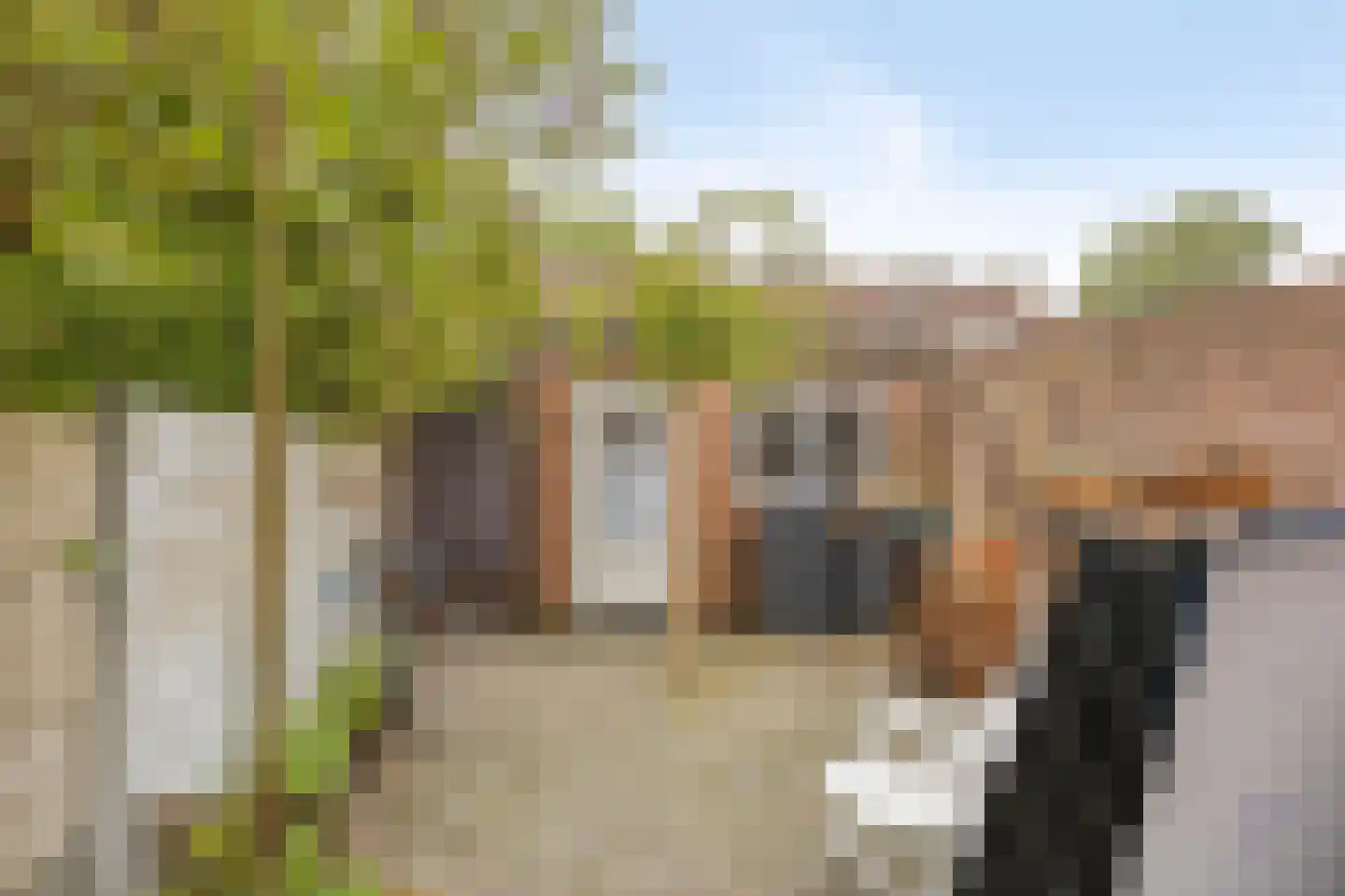 Kastanjelaan 286 Bergen op Zoom thumbnail 6