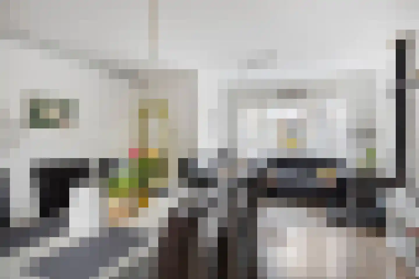 Kastanjelaan 286 Bergen op Zoom thumbnail 9