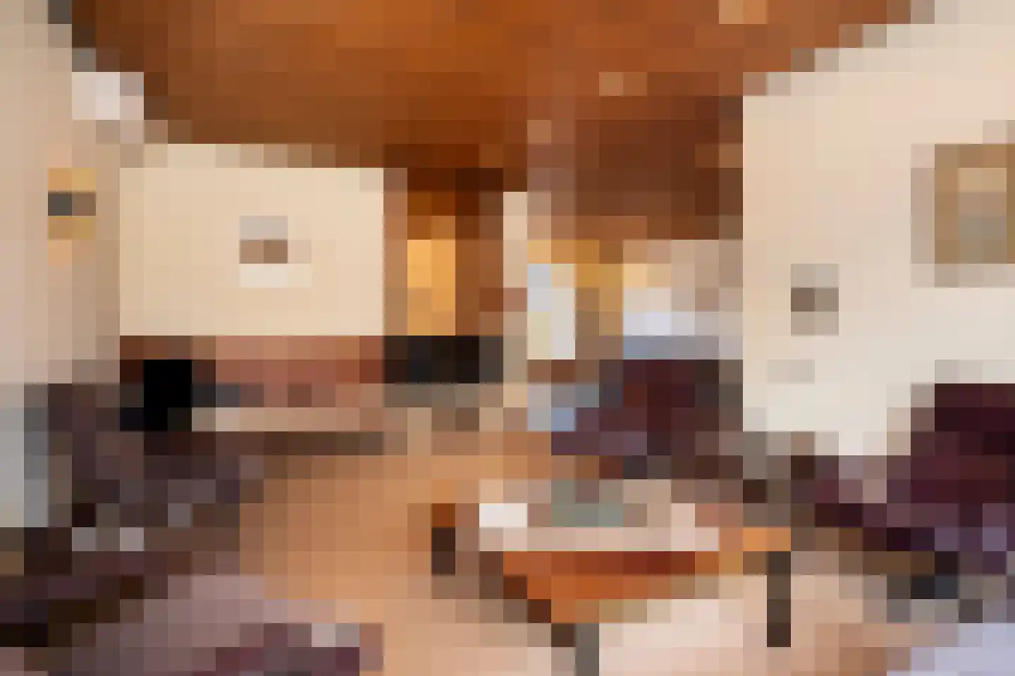 Kastanjelaan 29 Sittard thumbnail 10