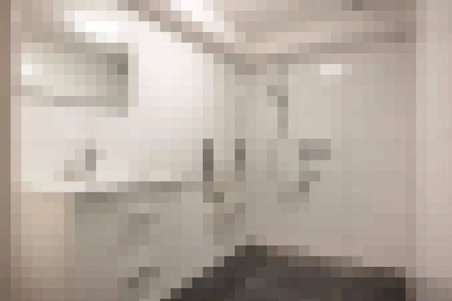 Kastanjelaan 29 Sittard thumbnail 21