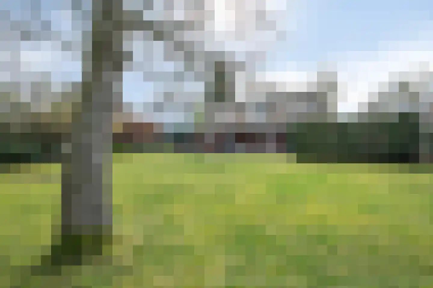 Kastanjelaan 29 Sittard thumbnail 27
