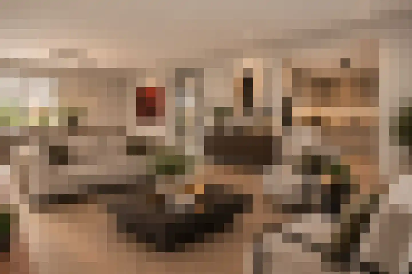 Kastanjelaan 29 Wierden thumbnail 10