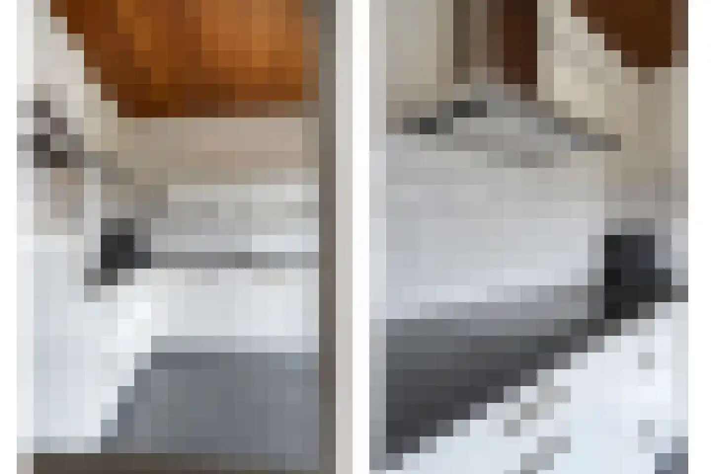 Kastanjelaan 29 Wierden thumbnail 15
