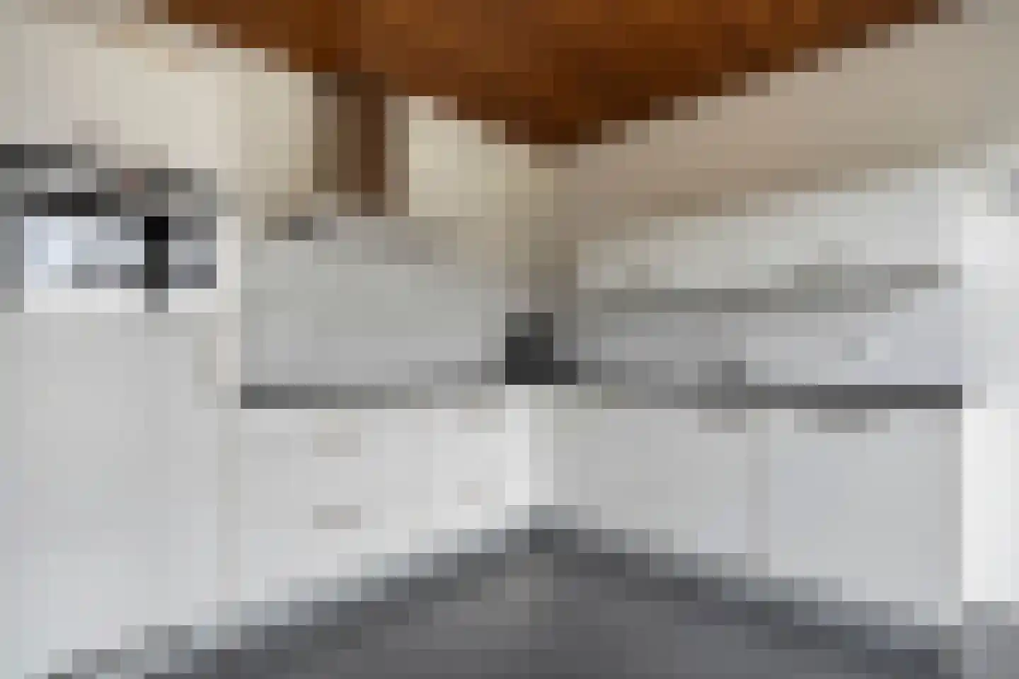 Kastanjelaan 29 Wierden thumbnail 16