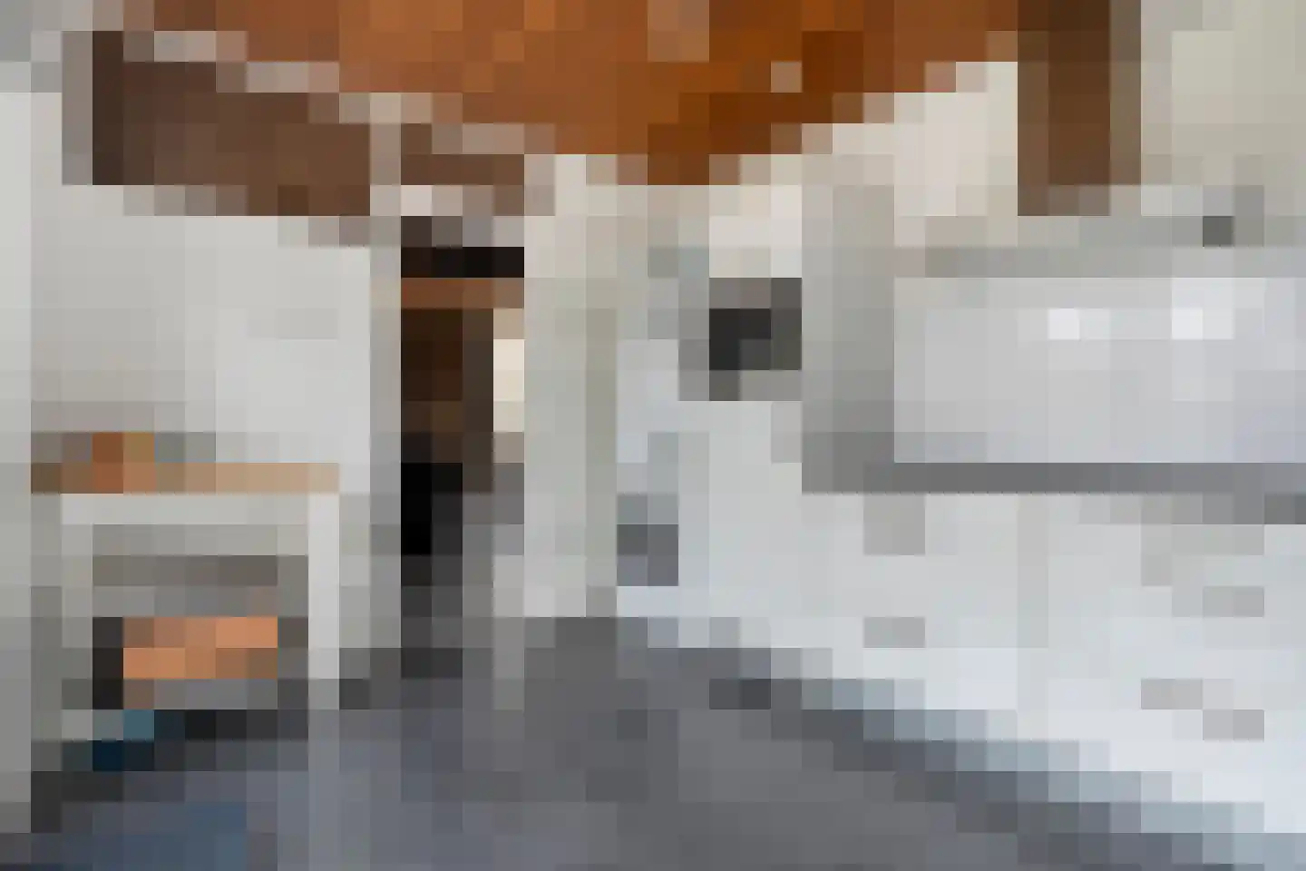 Kastanjelaan 29 Wierden thumbnail 17