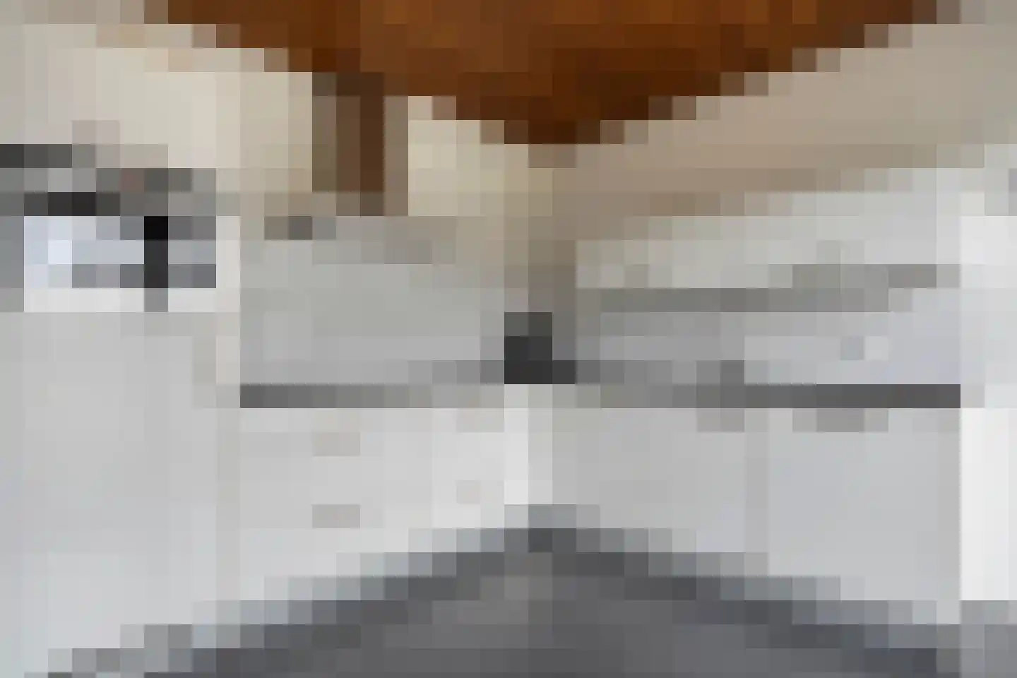 Kastanjelaan 29 Wierden thumbnail 18