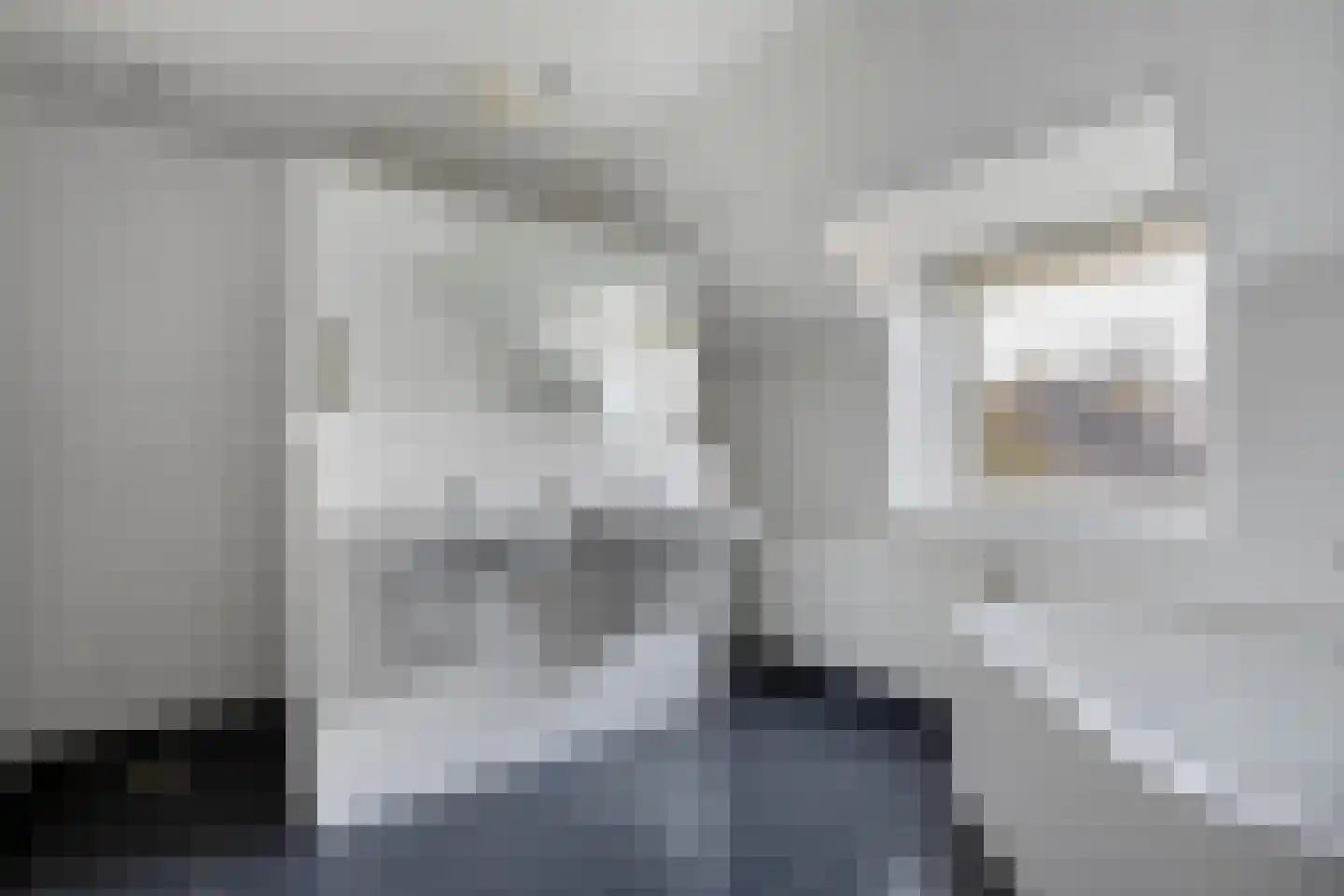 Kastanjelaan 29 Wierden thumbnail 26