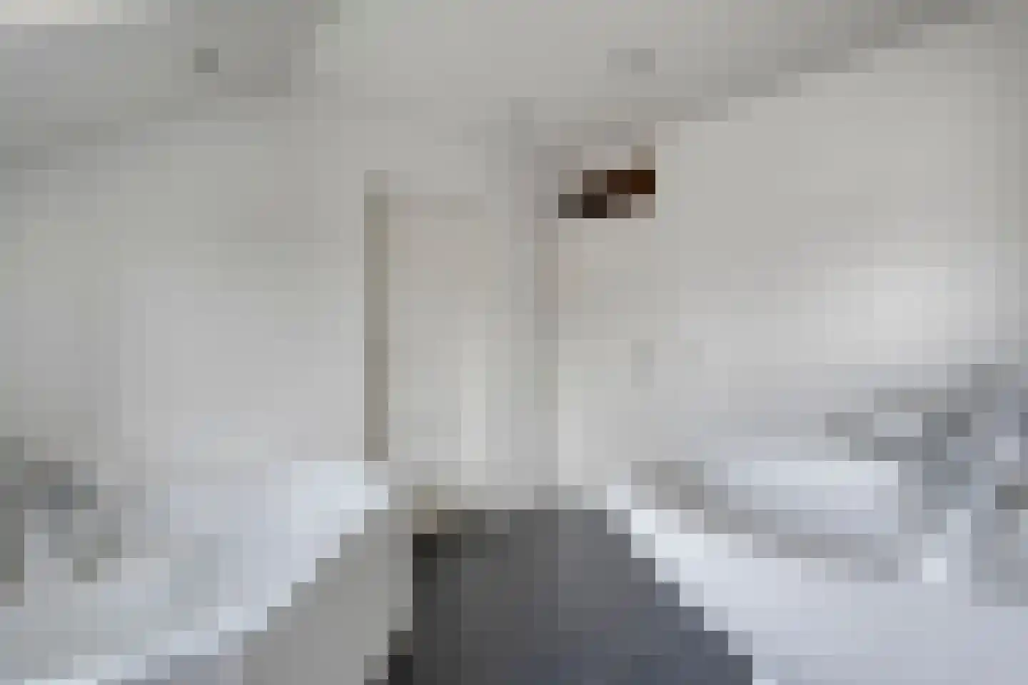 Kastanjelaan 29 Wierden thumbnail 27