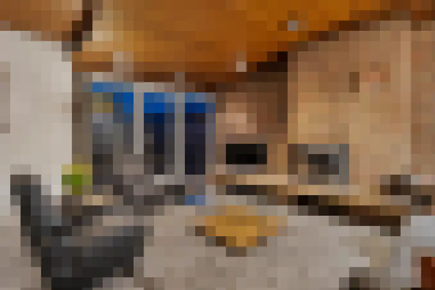 Kastanjelaan 29 Wierden thumbnail 6