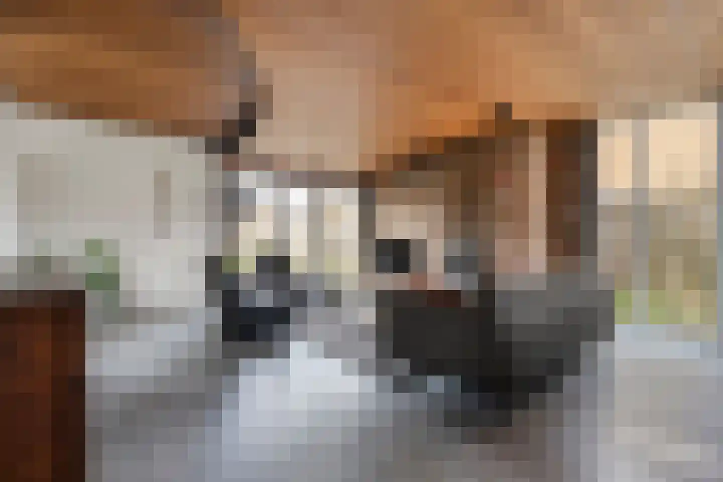 Kastanjelaan 29 Wierden thumbnail 7