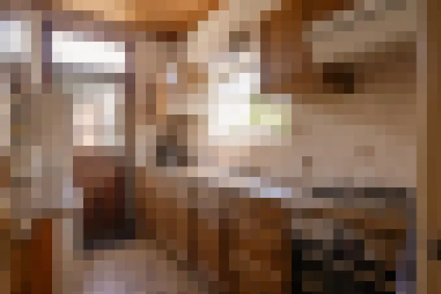 Kastanjelaan 29 Zwanenburg thumbnail 13