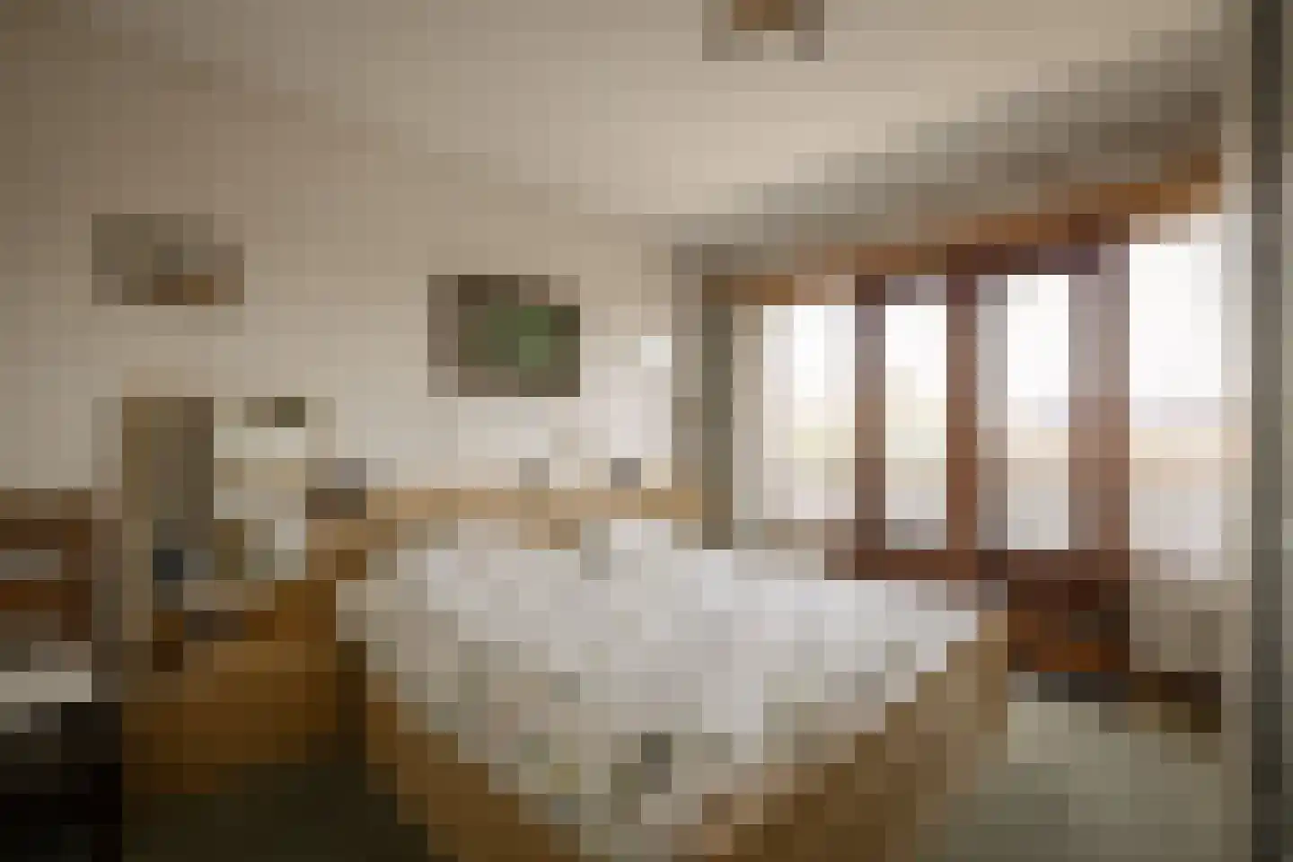 Kastanjelaan 29 Zwanenburg thumbnail 22