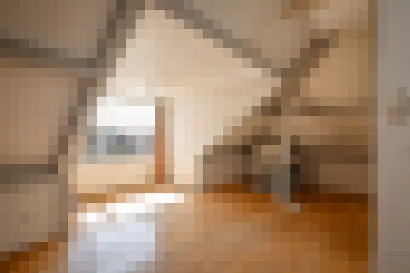 Kastanjelaan 29 Zwanenburg thumbnail 35