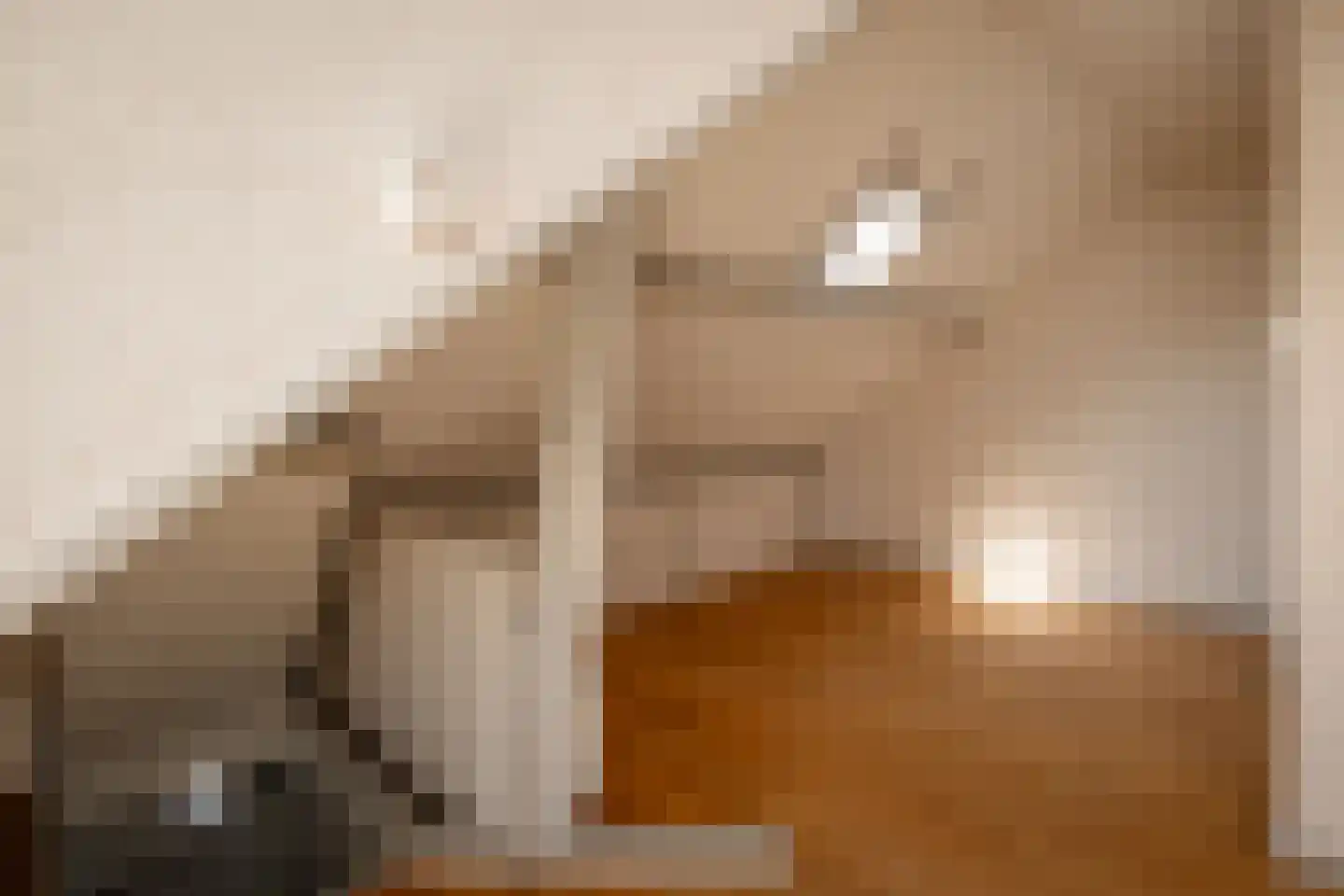 Kastanjelaan 29 Zwanenburg thumbnail 36