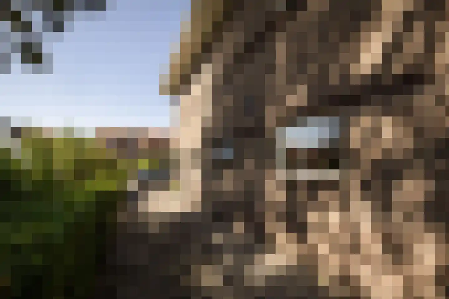 Kastanjelaan 29 Zwanenburg thumbnail 38