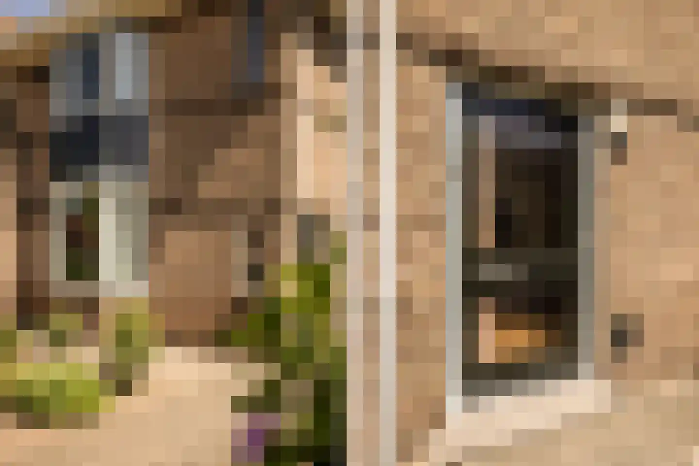Kastanjelaan 29 Zwanenburg thumbnail 4