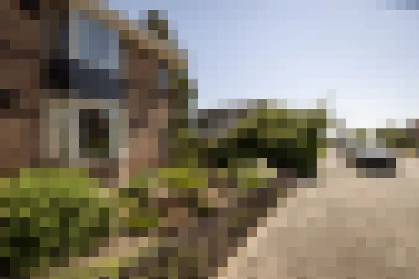 Kastanjelaan 29 Zwanenburg thumbnail 40