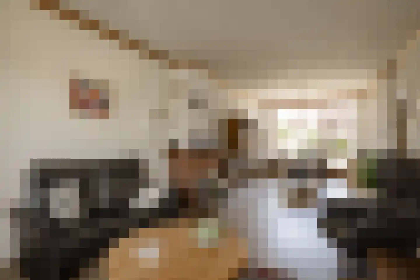 Kastanjelaan 29 Zwanenburg thumbnail 7