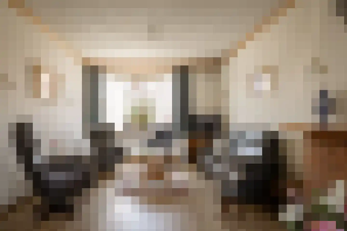 Kastanjelaan 29 Zwanenburg thumbnail 8