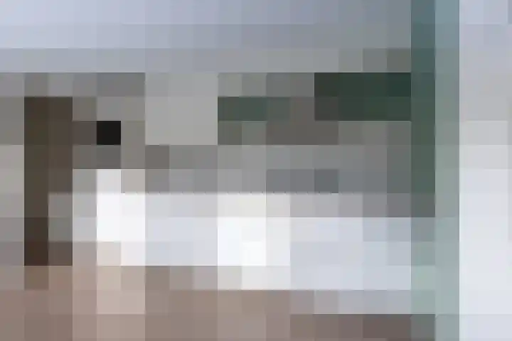 Kastanjelaan 296 Bergen op Zoom foto 2