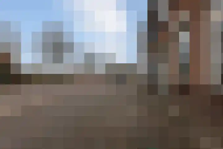 Kastanjelaan 296 Bergen op Zoom thumbnail 30