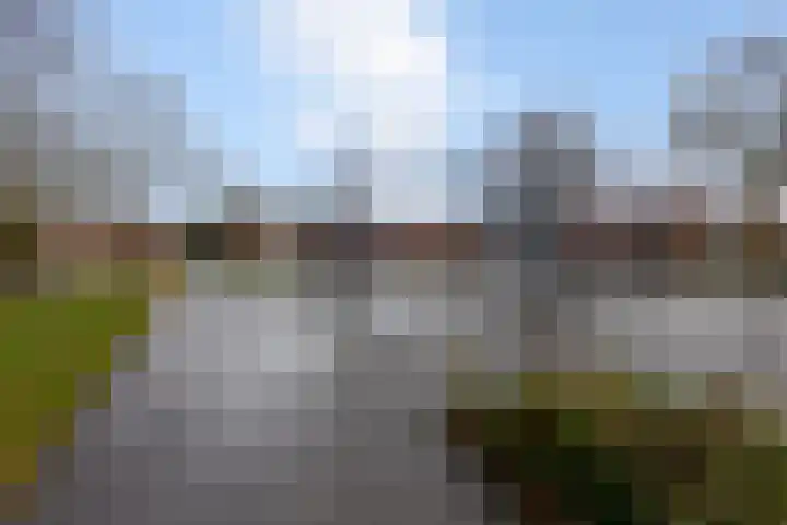 Kastanjelaan 296 Bergen op Zoom thumbnail 31