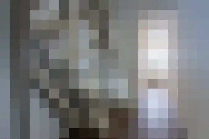 Kastanjelaan 296 Bergen op Zoom thumbnail 6