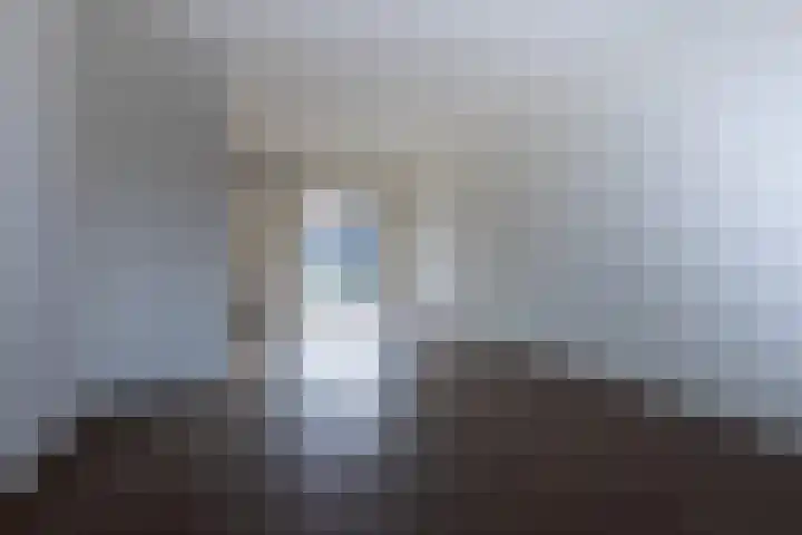 Kastanjelaan 296 Bergen op Zoom thumbnail 9
