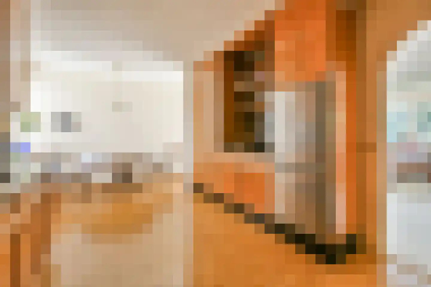 Kastanjelaan 297 Amstelveen thumbnail 15