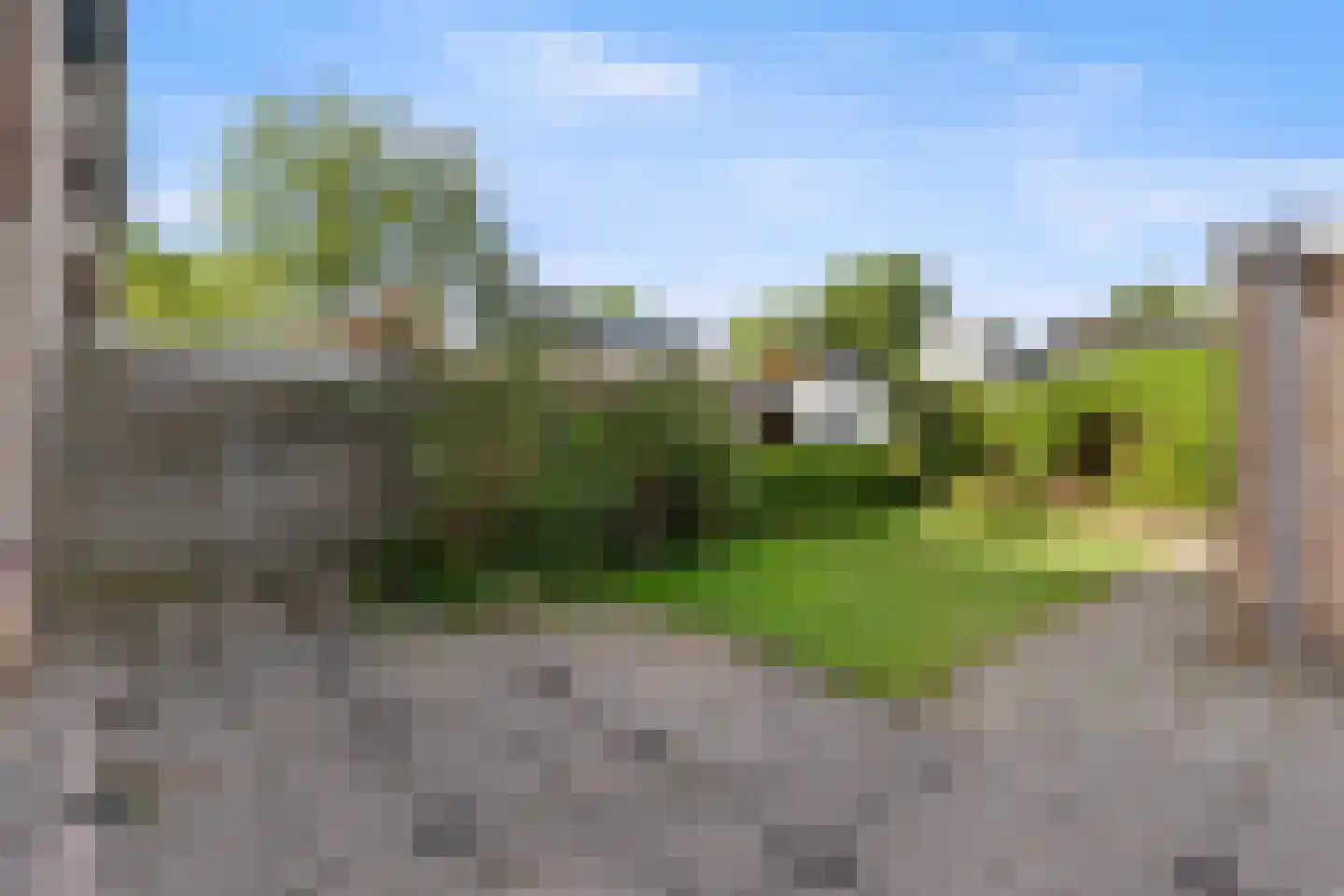 Kastanjelaan 3 A Zuid-Scharwoude thumbnail 24